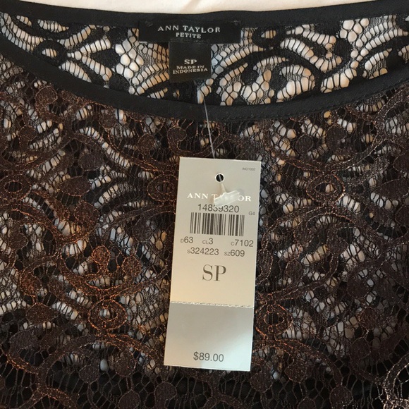 NWT Ann Taylor Bronze Lace & Black Cami, S.Petite - Picture 8 of 8